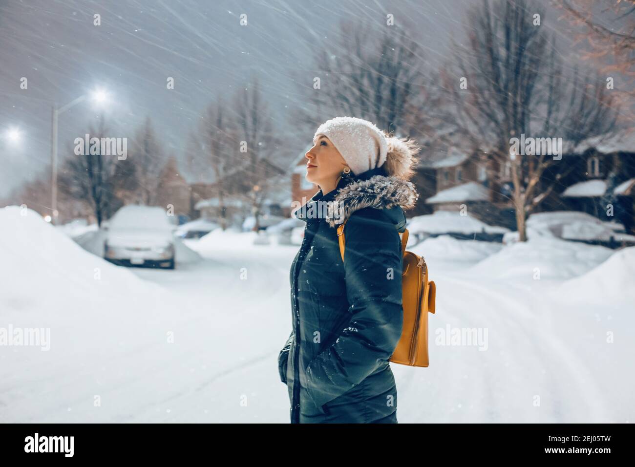 Detail Falling Snow Images Nomer 47