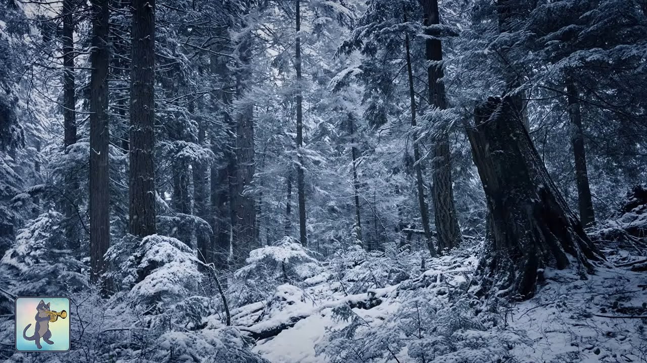 Detail Falling Snow Images Nomer 52
