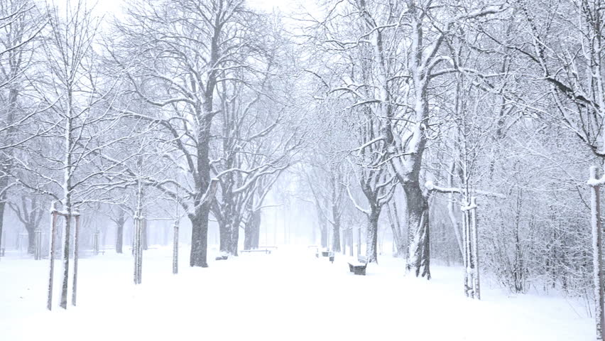 Detail Falling Snow Images Nomer 55