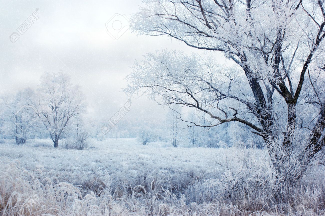 Detail Falling Snow Images Nomer 7