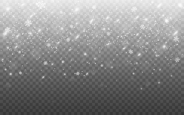 Detail Falling Snow Transparent Background Nomer 14