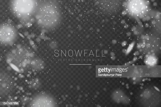 Detail Falling Snow Transparent Background Nomer 57