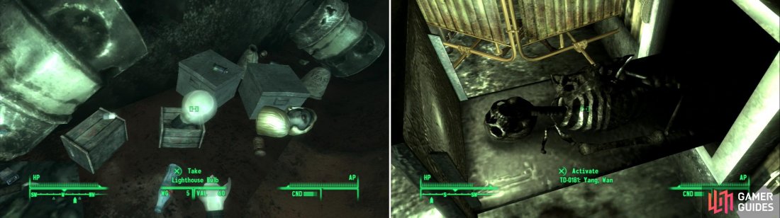 Detail Fallout 3 Lighthouse Bulb Nomer 18