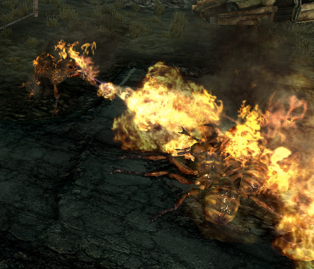 Detail Fallout 3 Source Of Fire Ants Nomer 2