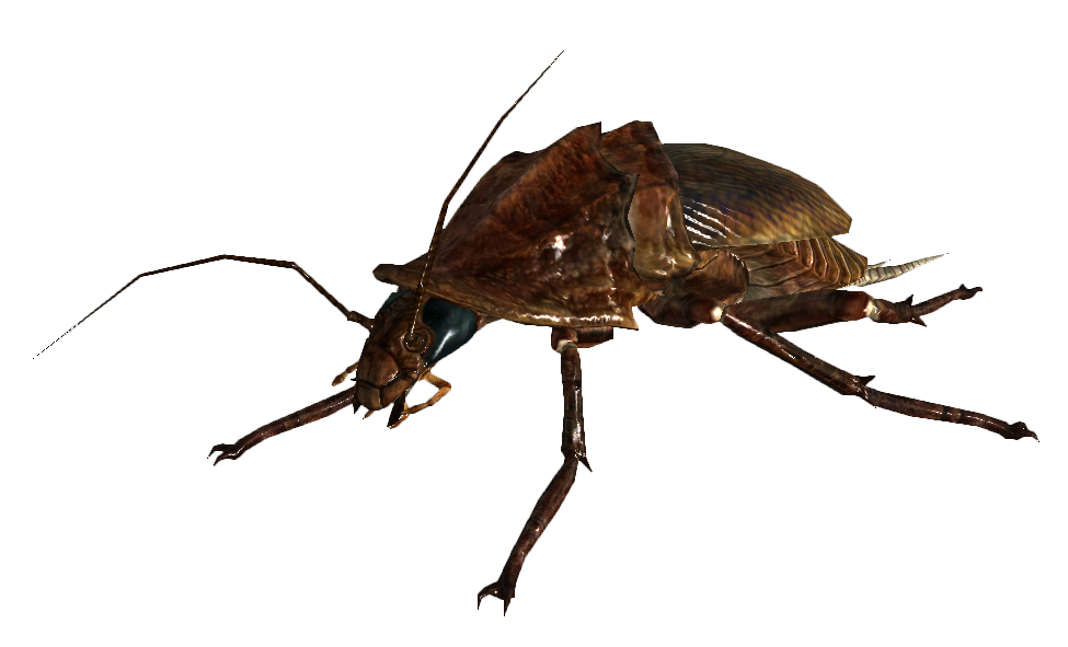 Detail Fallout 3 The Roach King Nomer 58