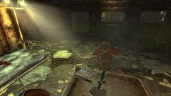 Detail Fallout 3 Vault 108 Nomer 11