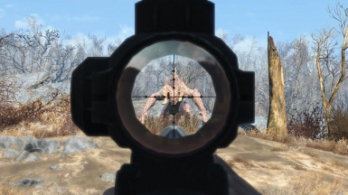 Detail Fallout 4 3d Scopes Nomer 7