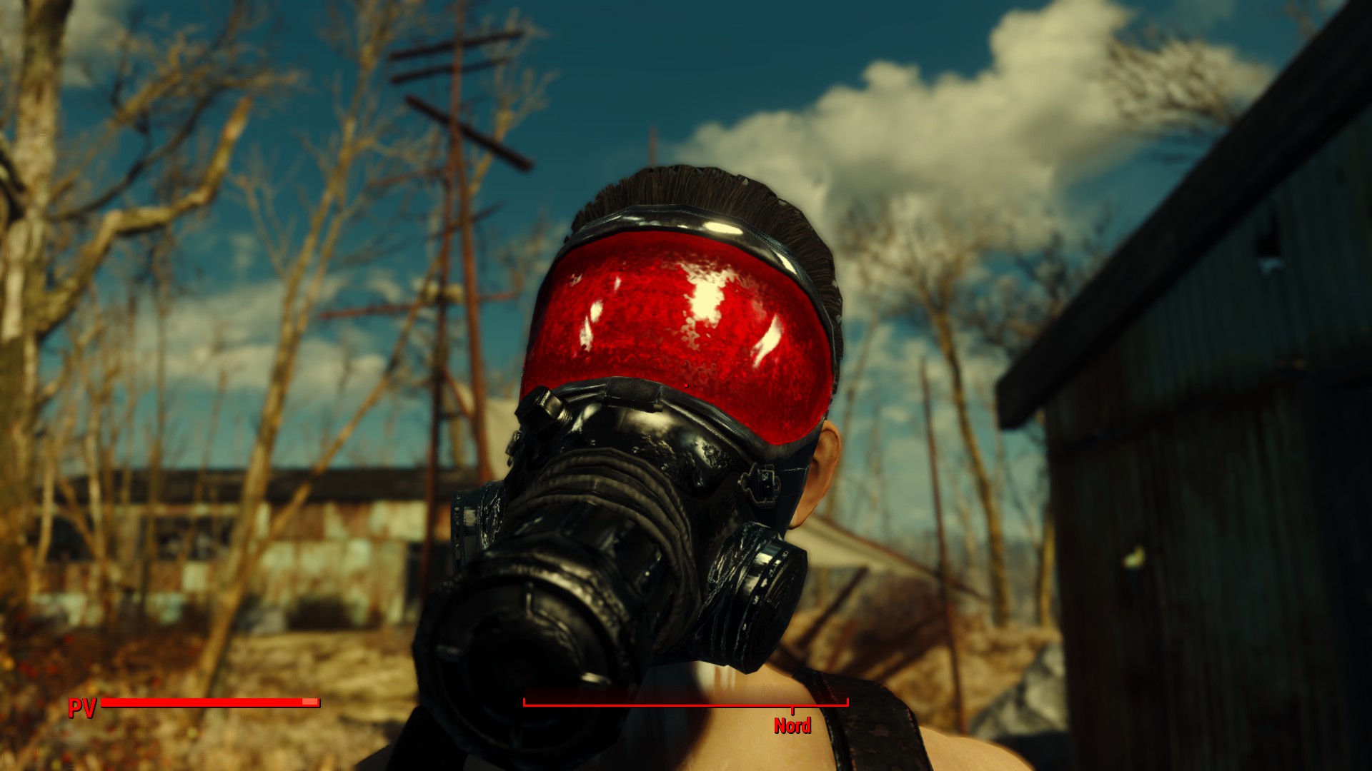 Detail Fallout 4 Balaclava Nomer 32