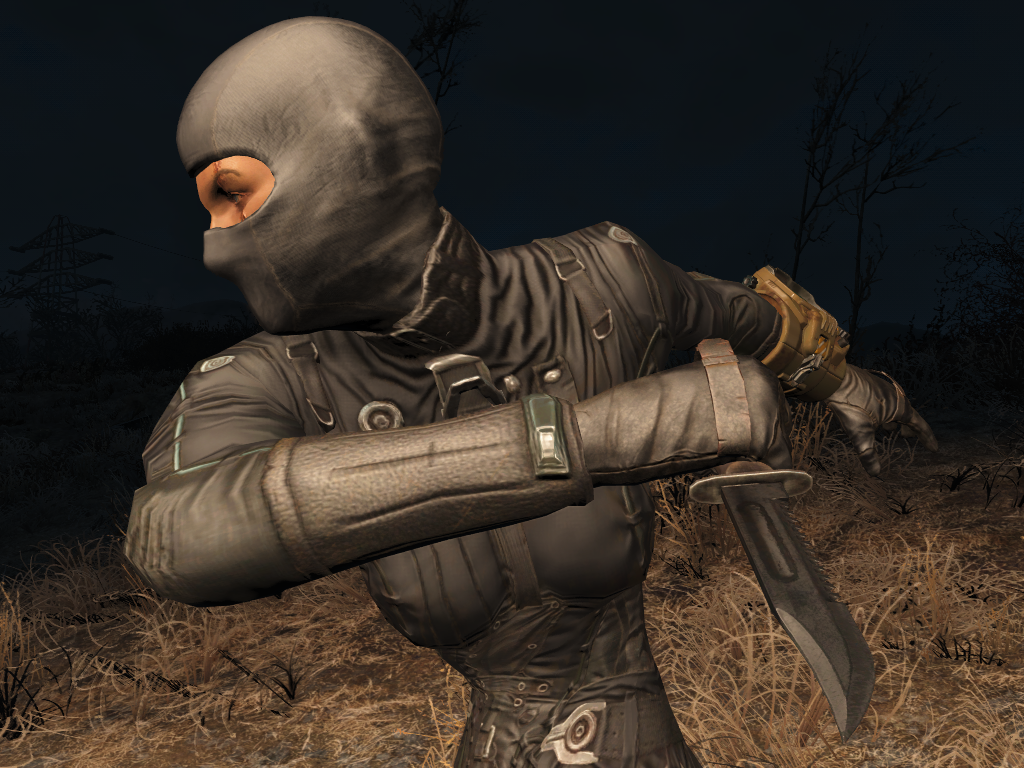 Detail Fallout 4 Balaclava Nomer 5