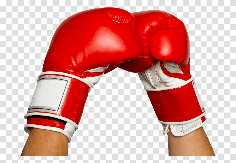 Detail Fallout 4 Boxing Gloves Both Hands Nomer 14