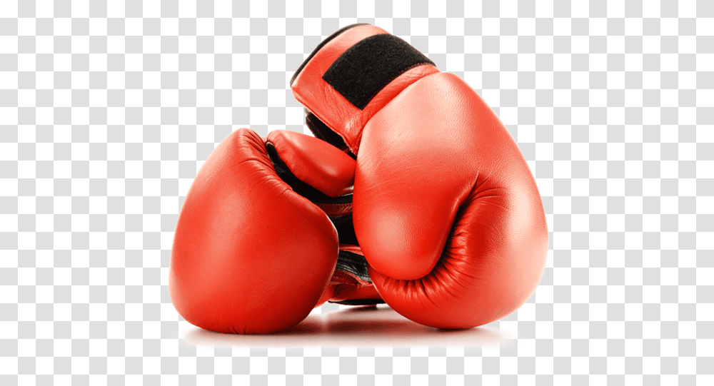 Detail Fallout 4 Boxing Gloves Both Hands Nomer 22