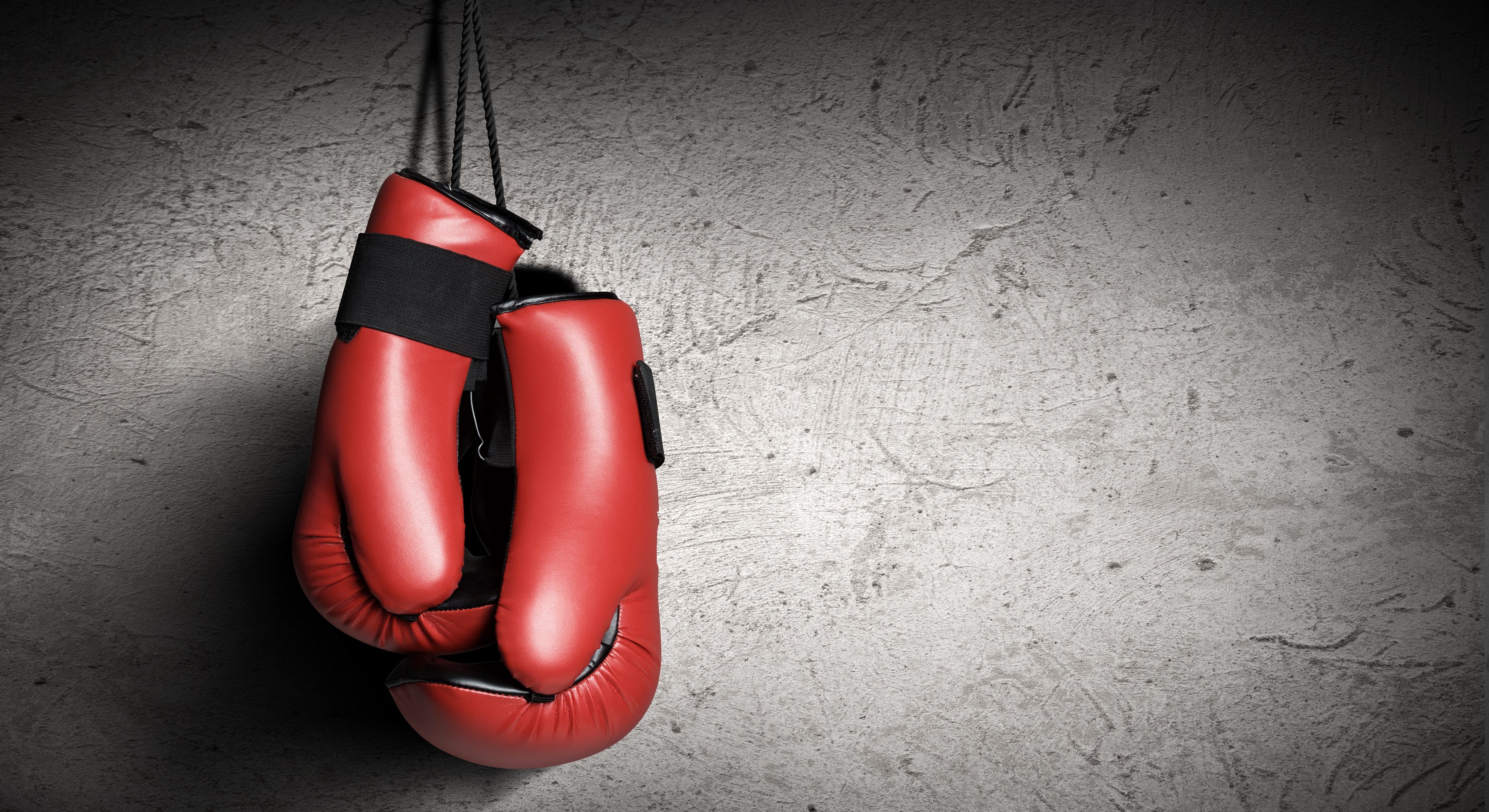 Detail Fallout 4 Boxing Gloves Both Hands Nomer 25
