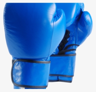 Detail Fallout 4 Boxing Gloves Both Hands Nomer 26