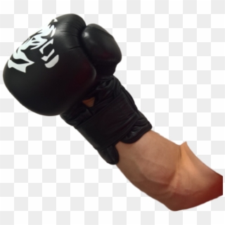 Detail Fallout 4 Boxing Gloves Both Hands Nomer 41