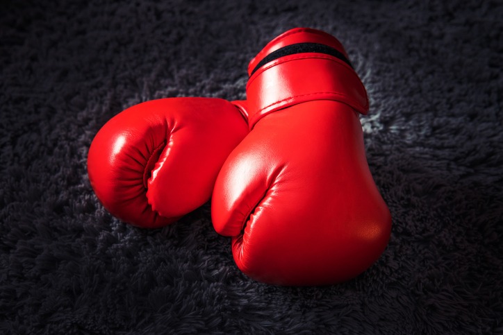 Detail Fallout 4 Boxing Gloves Both Hands Nomer 48