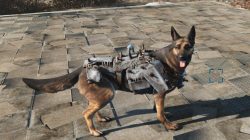 Detail Fallout 4 Chain Dog Collar Nomer 14