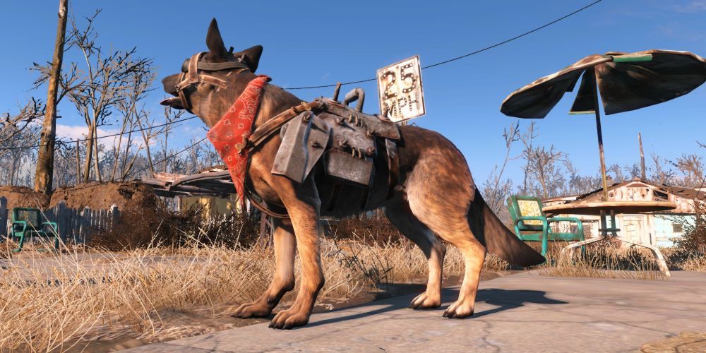 Detail Fallout 4 Chain Dog Collar Nomer 23