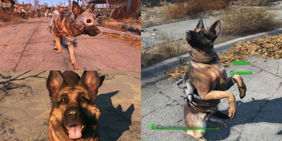 Detail Fallout 4 Chain Dog Collar Nomer 9