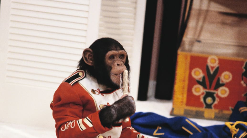 Detail Fallout 4 Clapping Monkeys Nomer 44