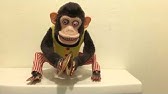 Detail Fallout 4 Clapping Monkeys Nomer 47