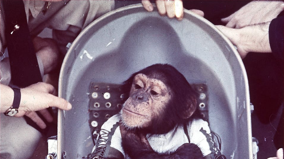 Detail Fallout 4 Clapping Monkeys Nomer 48
