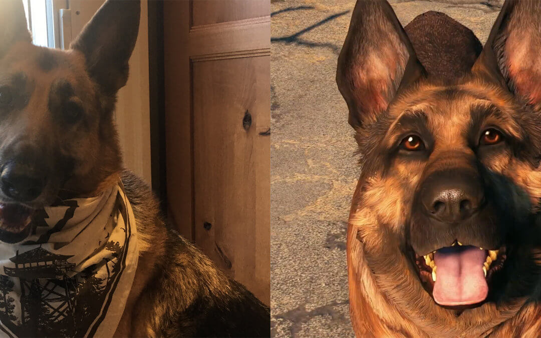 Detail Fallout 4 Dog Collar Nomer 19