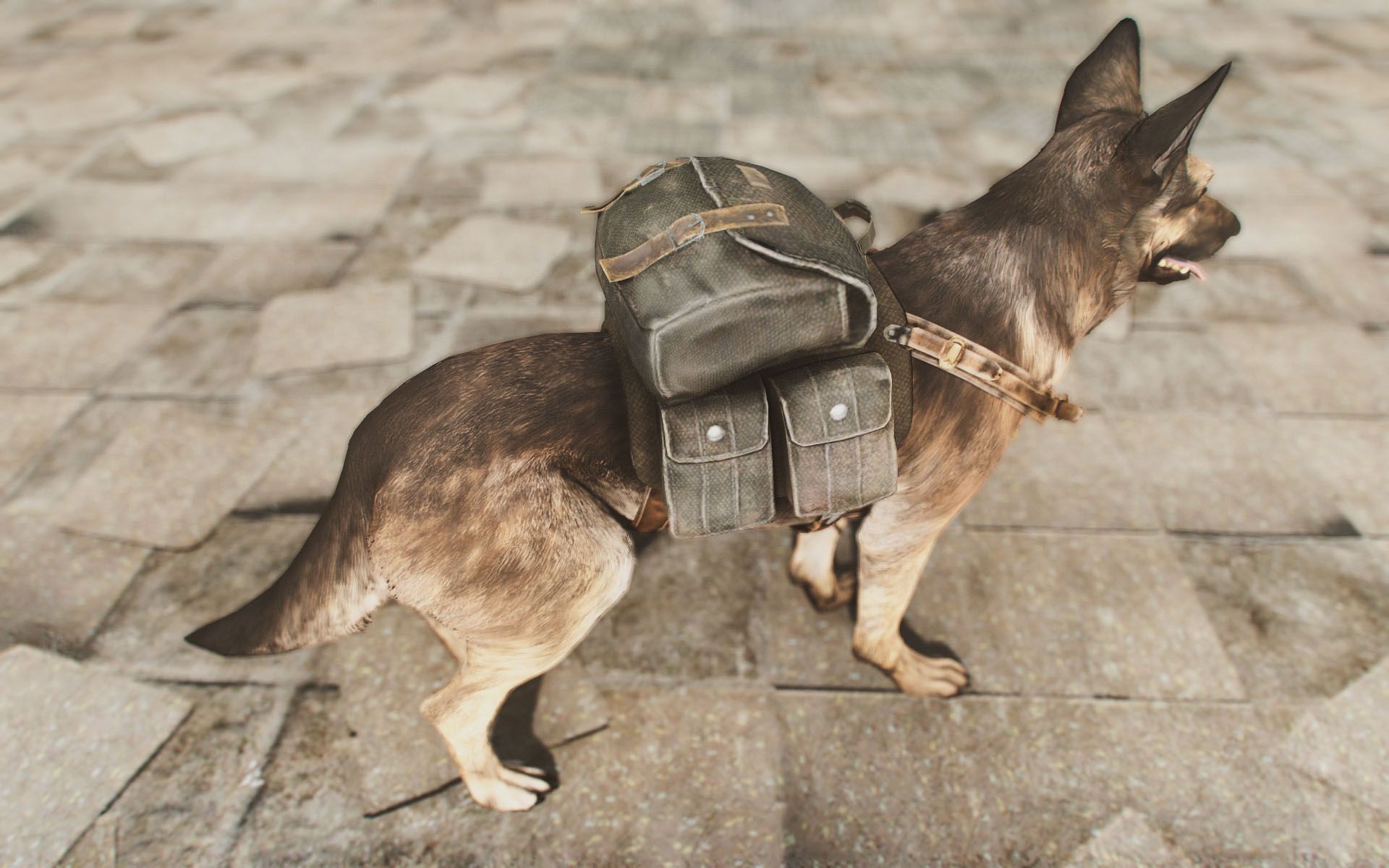 Detail Fallout 4 Dog Collar Nomer 30
