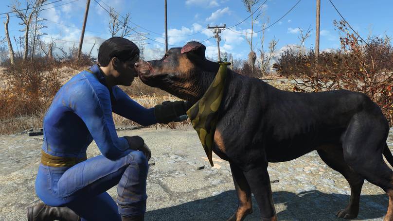 Detail Fallout 4 Dog Collar Nomer 34