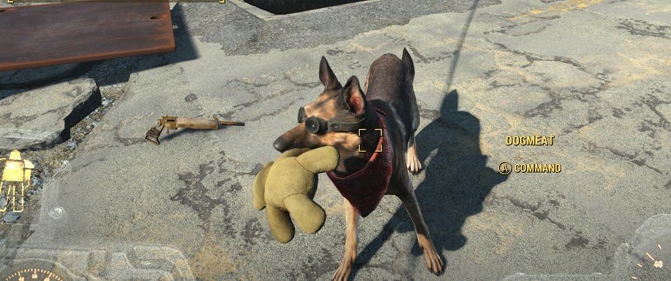 Detail Fallout 4 Dog Collar Nomer 35