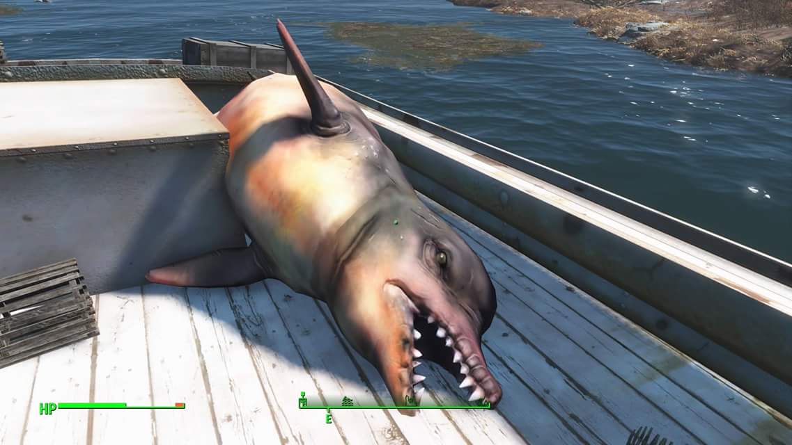 Detail Fallout 4 Dolphin Shark Nomer 12