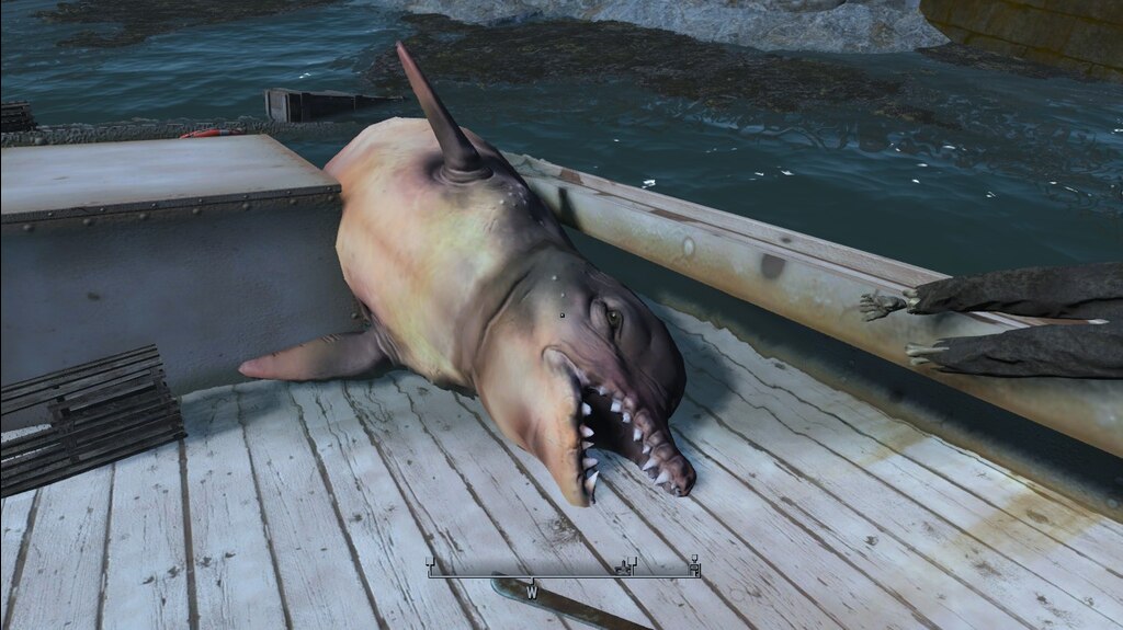 Detail Fallout 4 Dolphin Shark Nomer 13