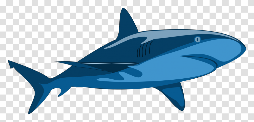 Detail Fallout 4 Dolphin Shark Nomer 31