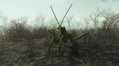 Detail Fallout 4 Mantis Nomer 19