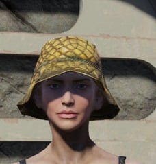 Detail Fallout 4 Postman Hat Nomer 48