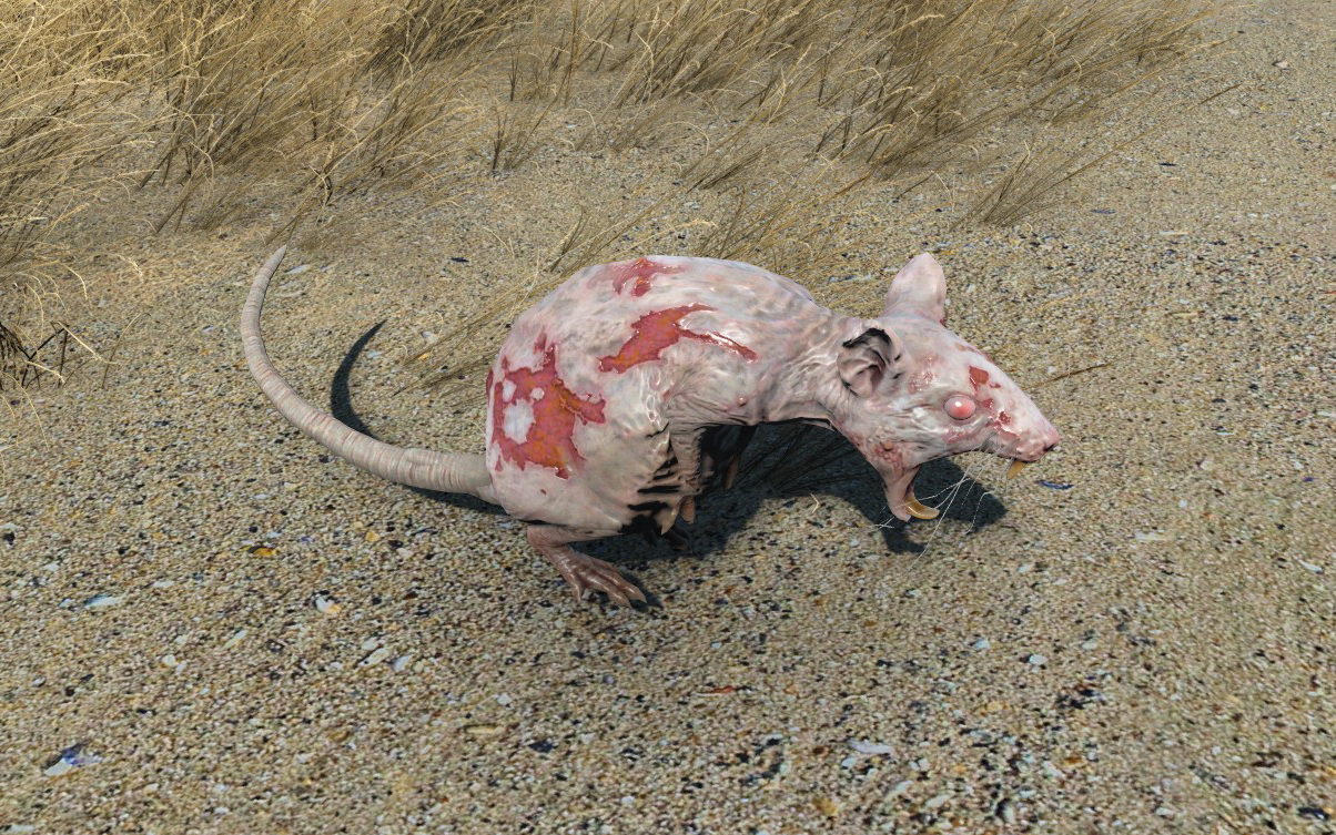 Detail Fallout 4 Rad Rat Nomer 9