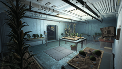 Detail Fallout 4 Vault 81 Bug Nomer 31