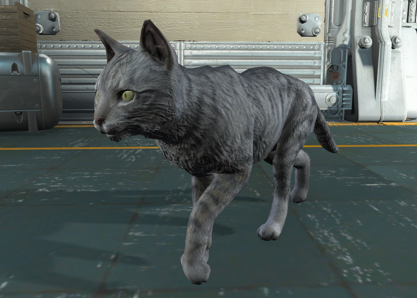Detail Fallout 4 Vault 81 Cat Nomer 2
