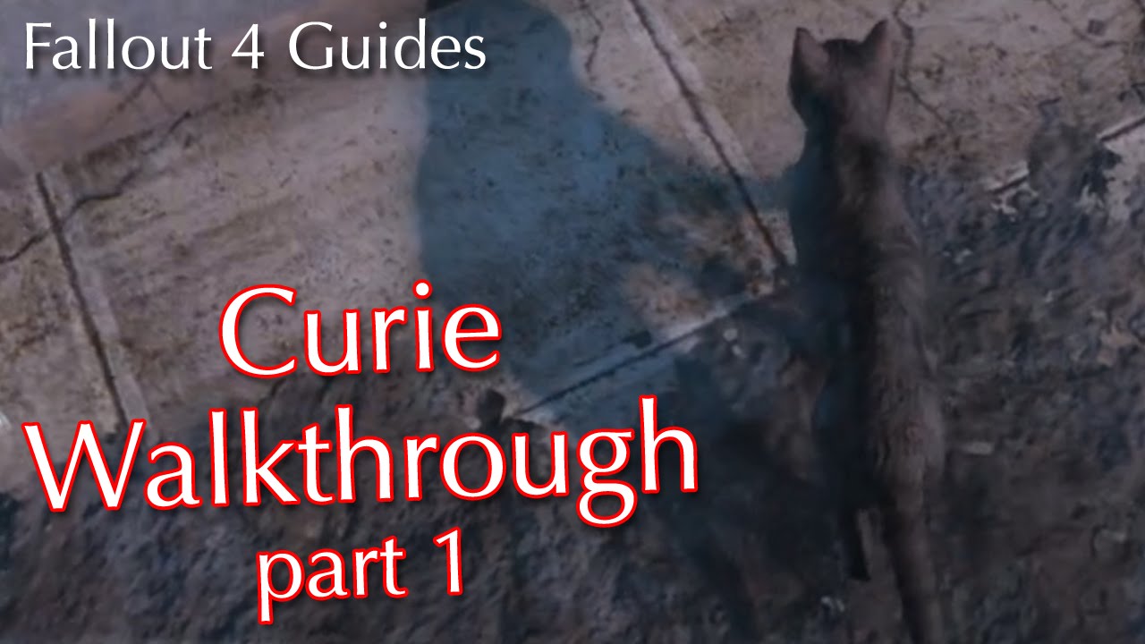 Detail Fallout 4 Vault 81 Cat Nomer 19