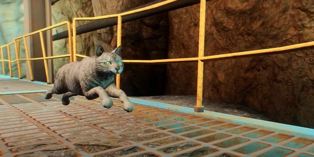 Detail Fallout 4 Vault 81 Cat Nomer 26