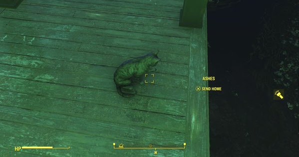 Detail Fallout 4 Vault 81 Cat Nomer 5
