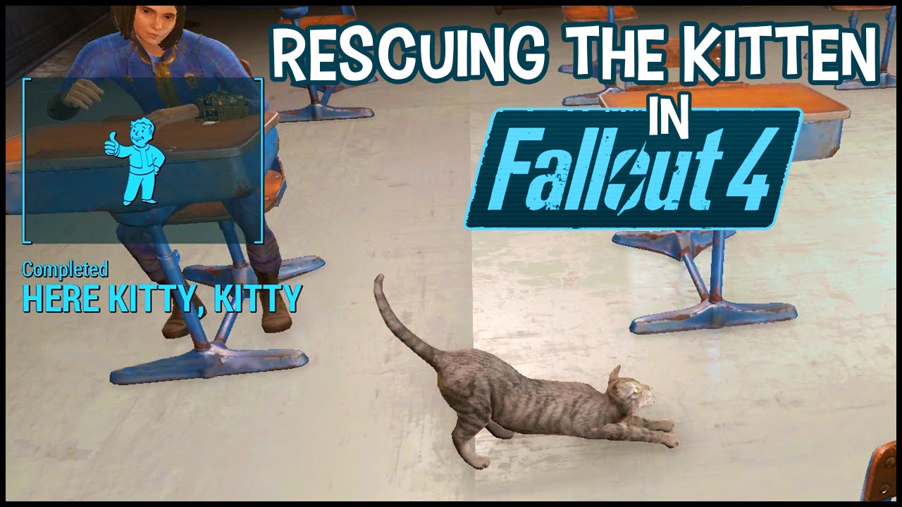 Detail Fallout 4 Vault 81 Cat Nomer 6