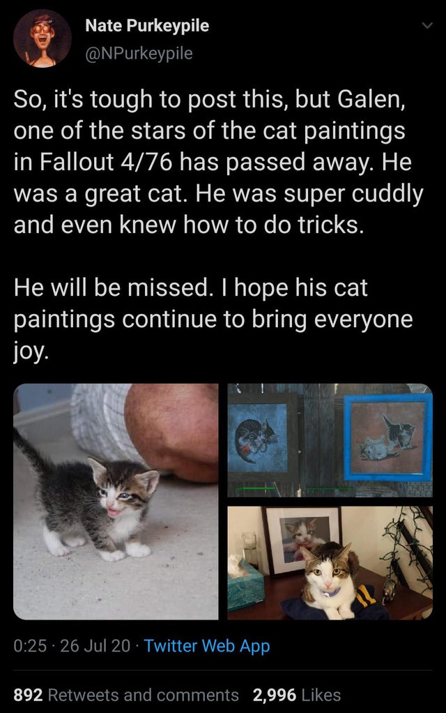 Detail Fallout 4 Vault 81 Cat Nomer 54