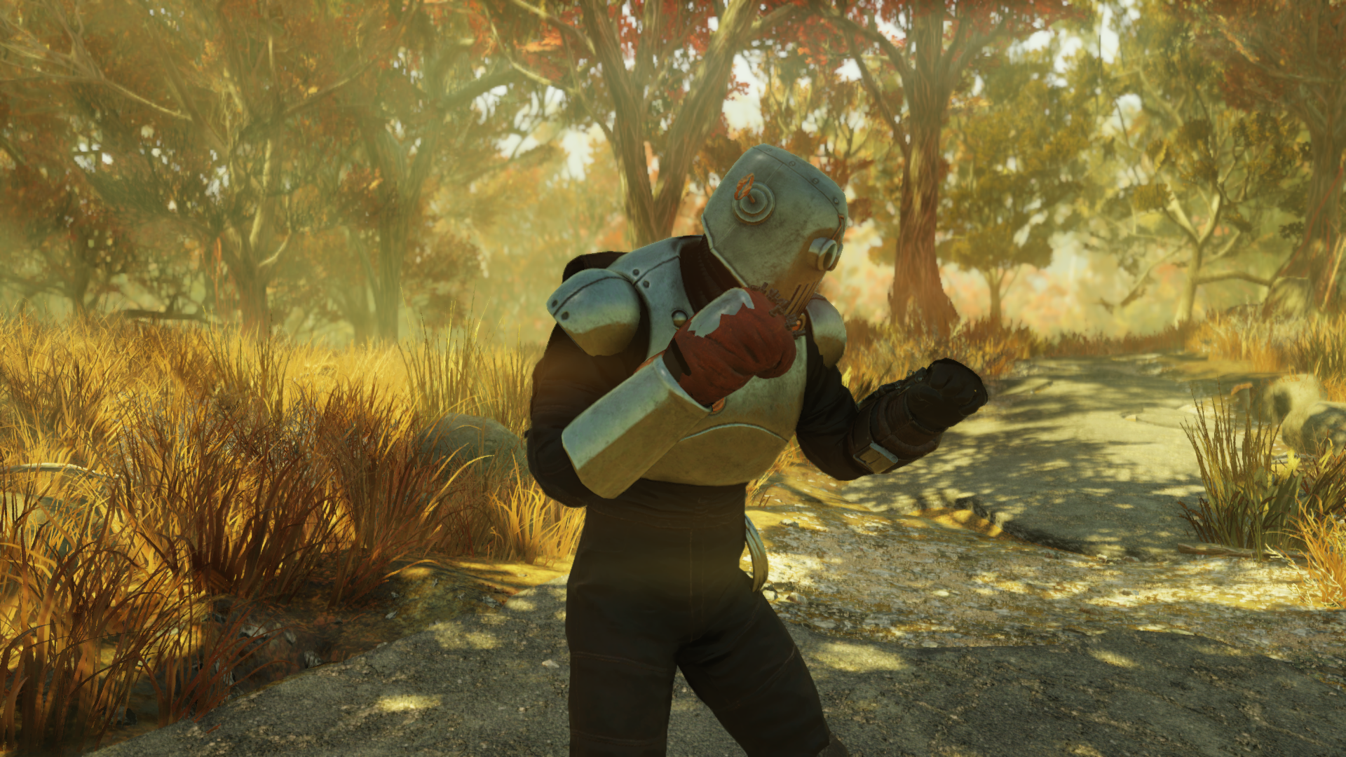 Detail Fallout 76 Boxing Gloves Nomer 22
