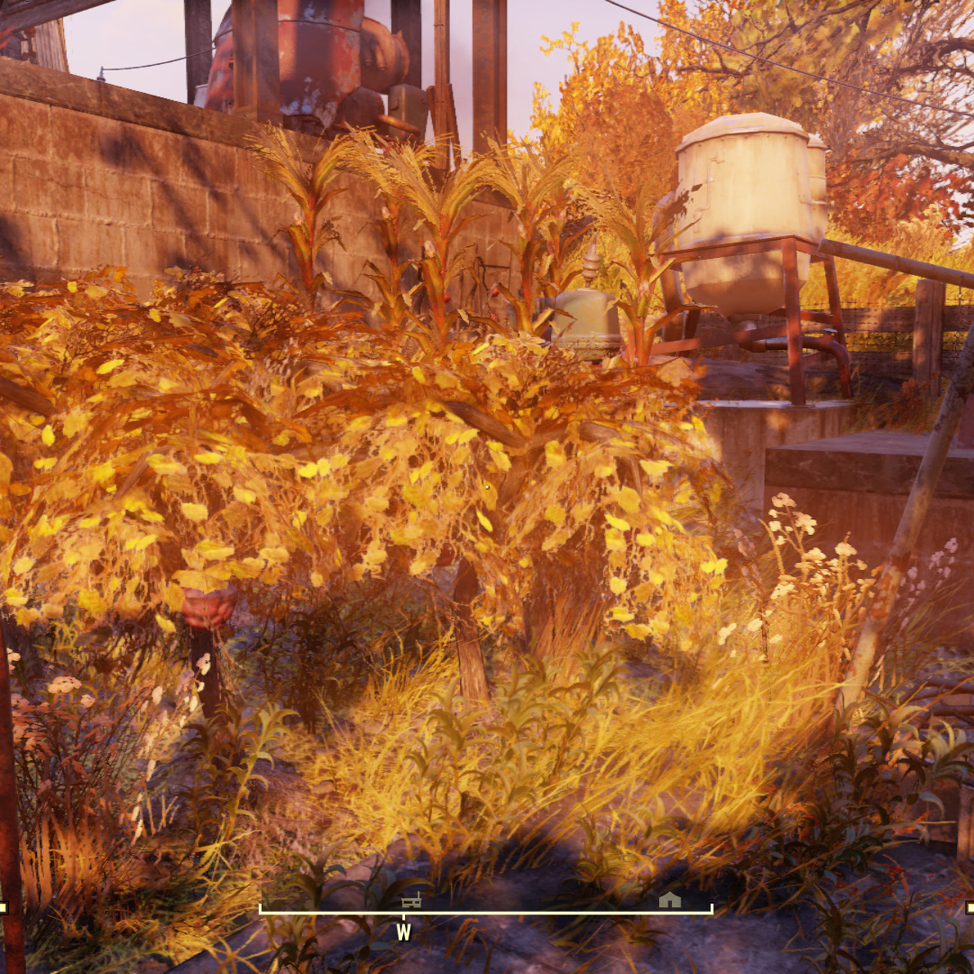 Detail Fallout 76 Carrot Flower Nomer 38