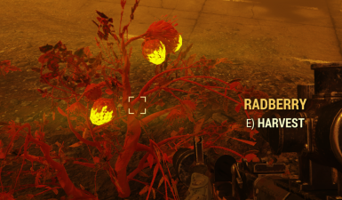 Detail Fallout 76 Carrot Flower Nomer 44