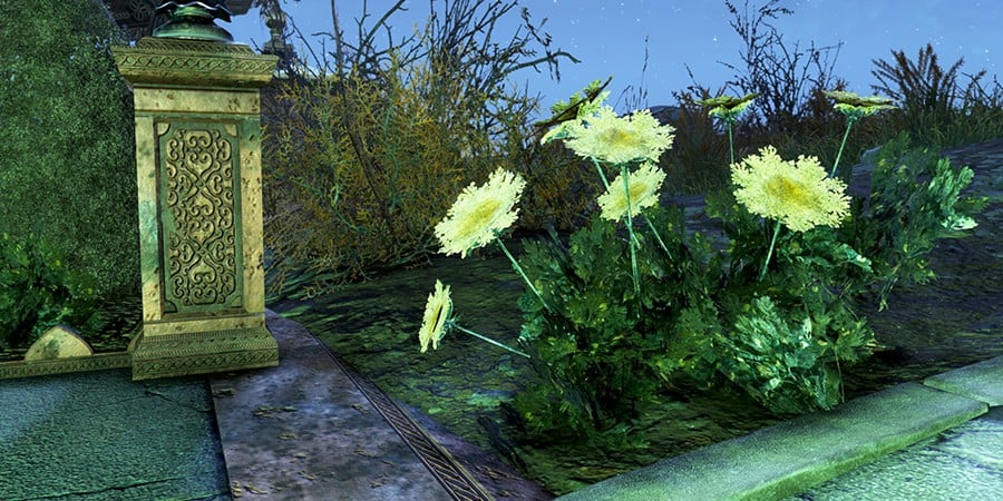 Detail Fallout 76 Carrot Flower Nomer 10