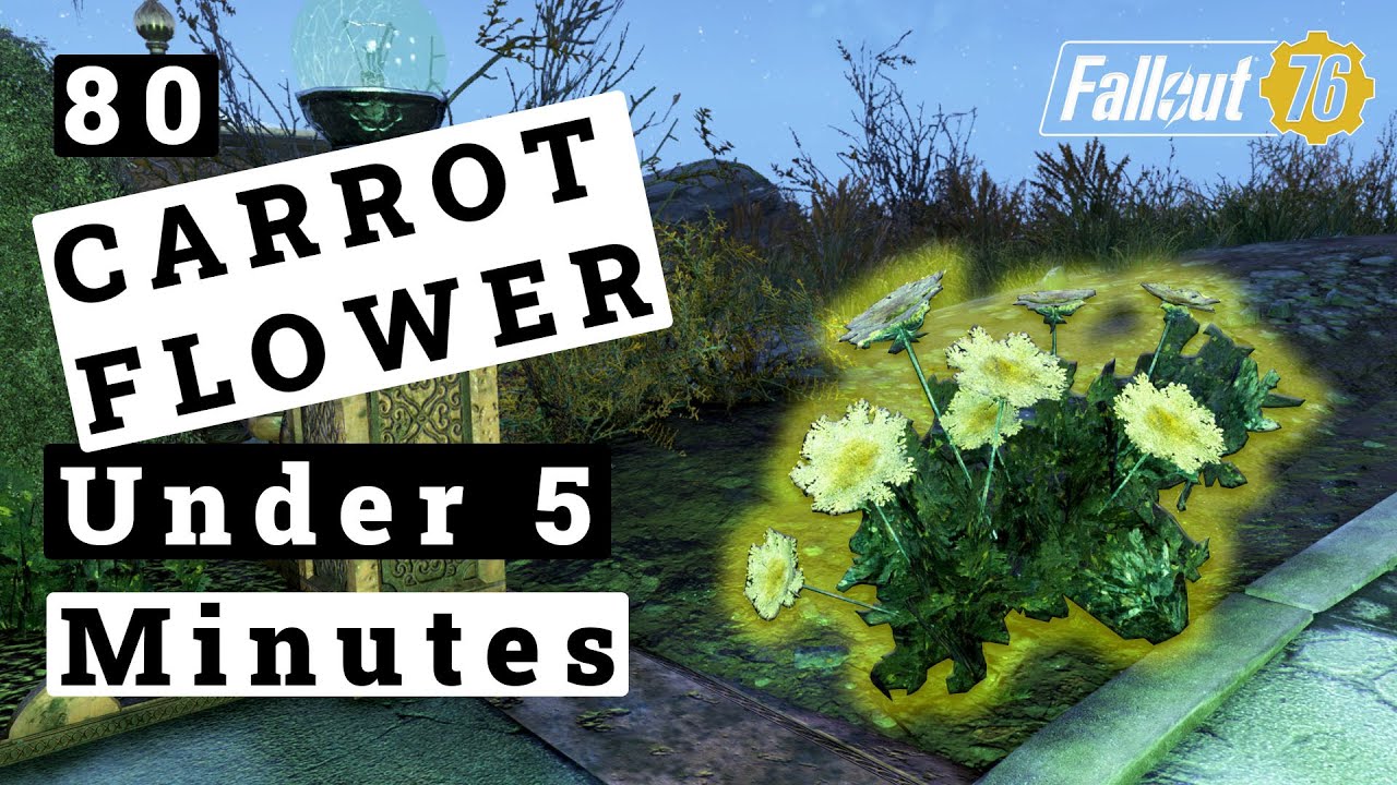 Detail Fallout 76 Carrot Location Nomer 29