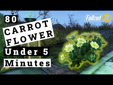 Detail Fallout 76 Carrot Location Nomer 32