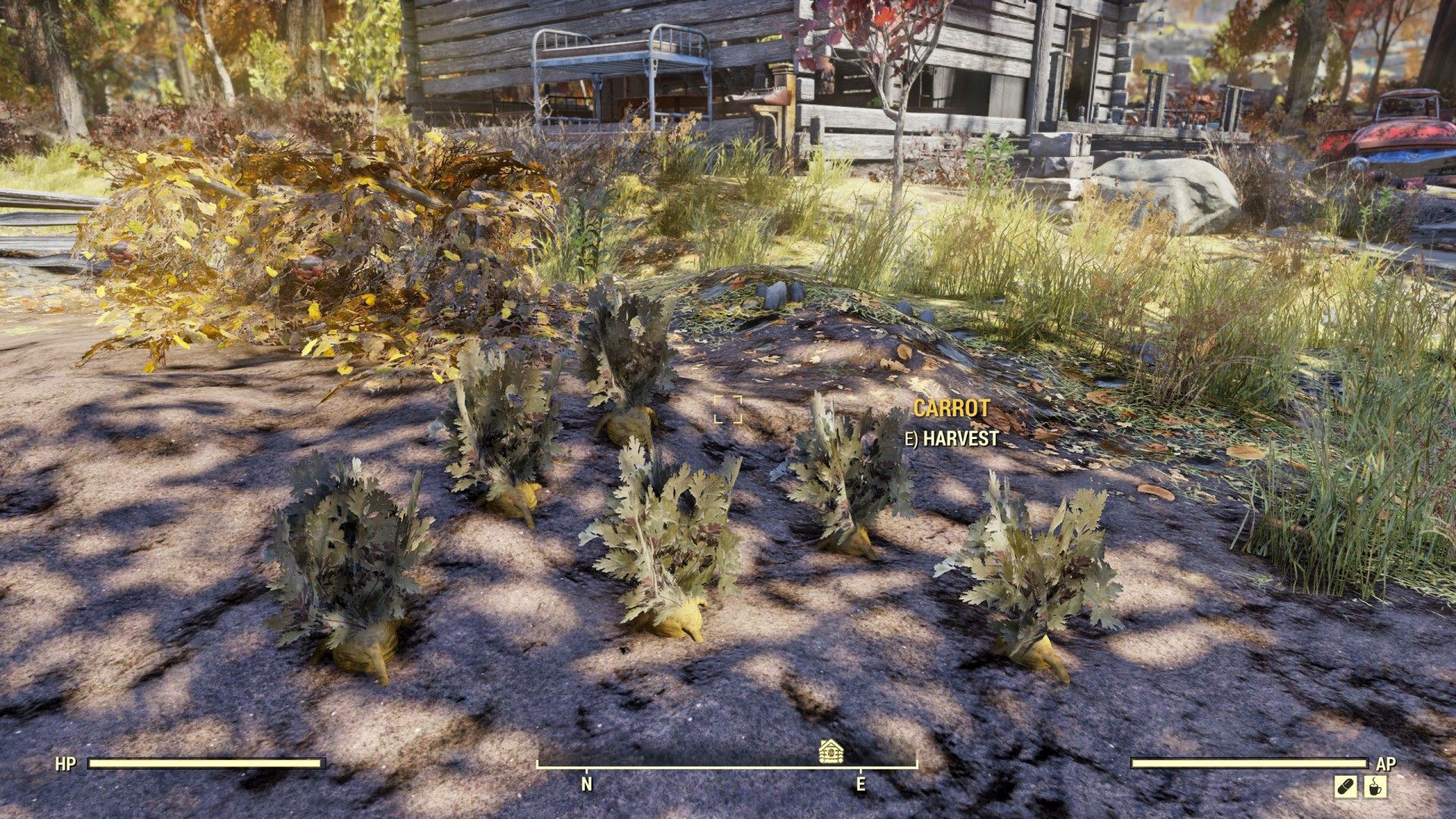 Detail Fallout 76 Carrot Location Nomer 36