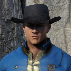 Detail Fallout 76 Cowboy Hat Nomer 2